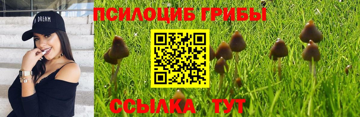 Галлюциногенные грибы GOLDEN TEACHER Глазов